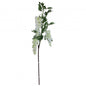 White Wisteria Branch