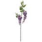 Two Head Wisteria Violet