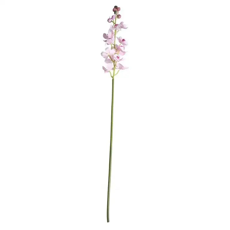 Dainty Orchid Blush Pink