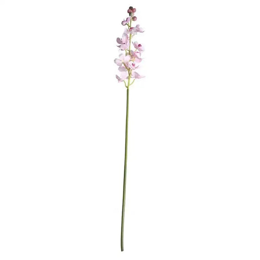 Dainty Orchid Blush Pink