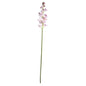 Dainty Orchid Blush Pink