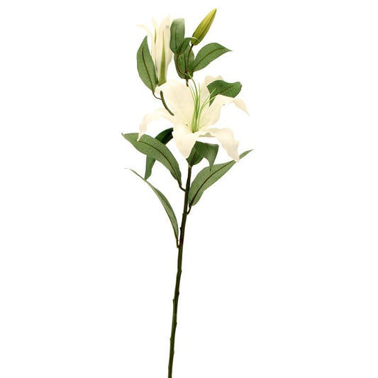 Lilium Spray White