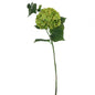 Large Hydrangea Green