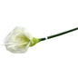 Medium Calla Lily Cream and Green