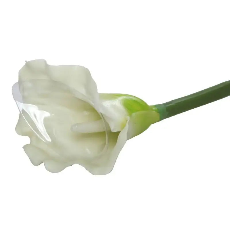 Large Calla Lily Cream and Green