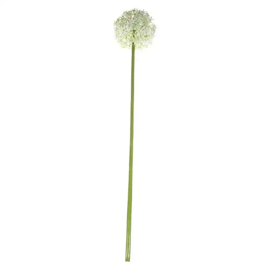 76cm Single Allium Cream and White