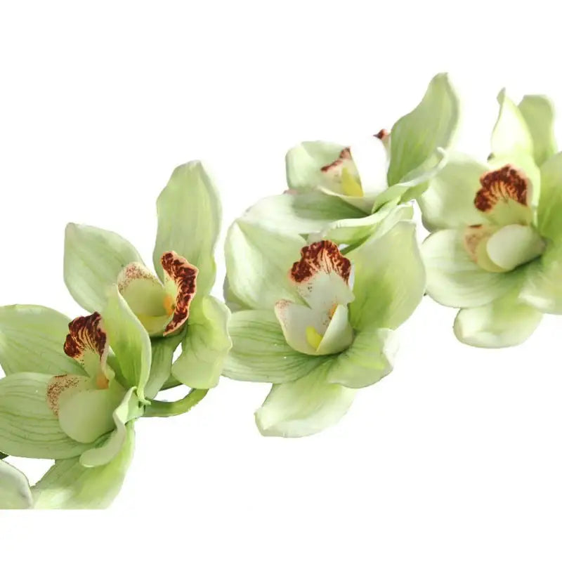 36Inch Real Touch Large Cymbidium Green