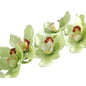 36Inch Real Touch Large Cymbidium Green