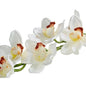 Real Touch Large Cymbidium White (36inch)