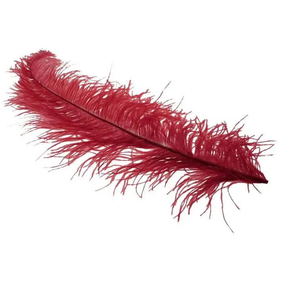 Luxury red ostrich feather for home décor and elegant gift styling