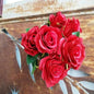 Antique Rose Bush Red