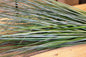 PVC Grass Bush 68cm