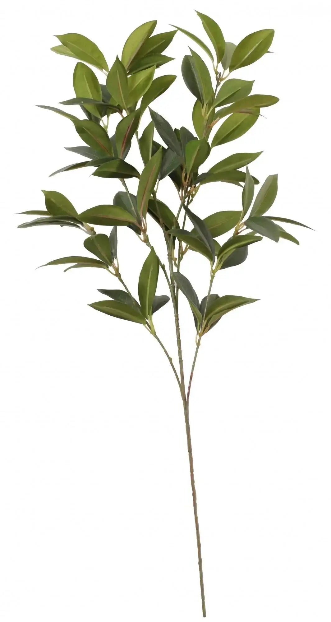 Green Shikiba Spray 28Inch