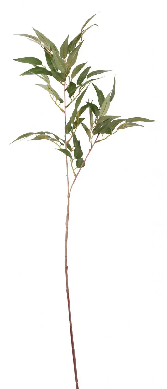 Ficus Benjamen Spray 25 Inch
