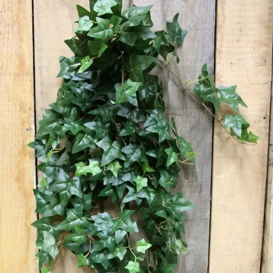 45  Inch Mini Ivy Hanging Bush
