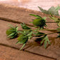 Thistle Spray Green 66cm