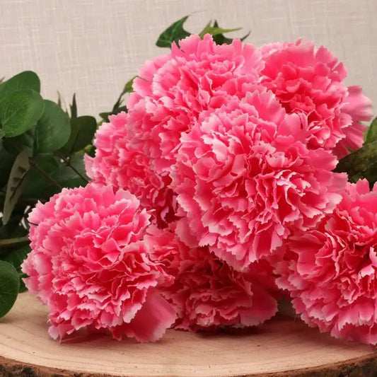 Carnation Bush Pink