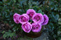 Rose Bunch Purple