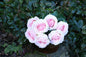 Rose Bunch Pink
