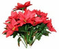 Red Poinsettia Bush (x12)
