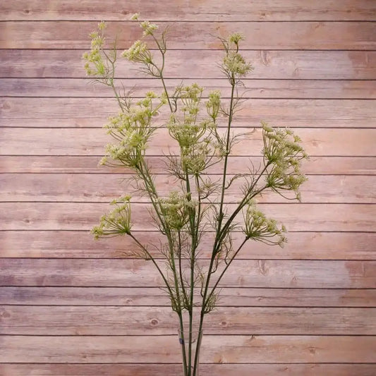 Artificial Queen Anne's lace floral stem with delicate white blooms against wood background