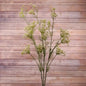 Artificial Queen Anne's lace floral stem with delicate white blooms against wood background
