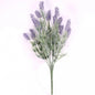Lavender Plant