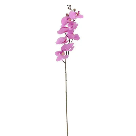 Pink Phalaenopsis Spray 34.5 Inch