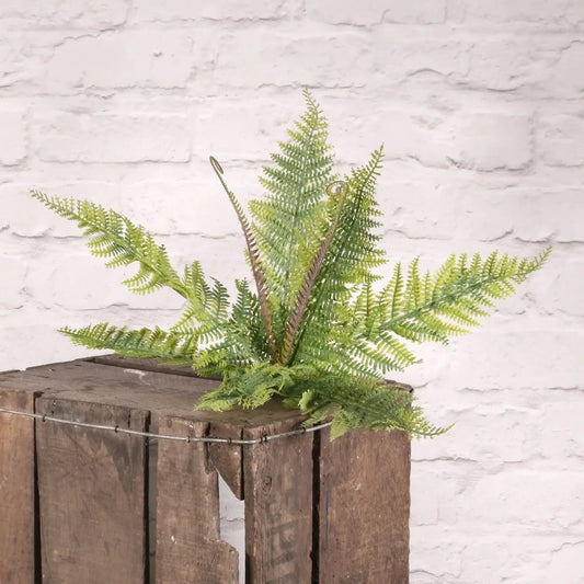 Plastic Boston Fern Bush