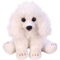 Yomiko Sitting White Poodle Dog