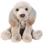 Yomiko Sitting Weimaraner Dog